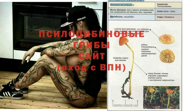 МДМА Магас