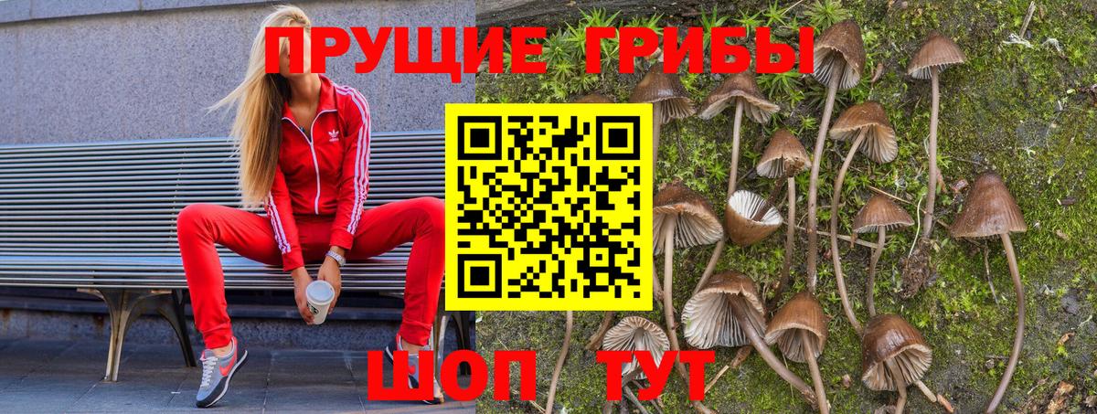 Псилоцибиновые грибы Magic Shrooms Пермь