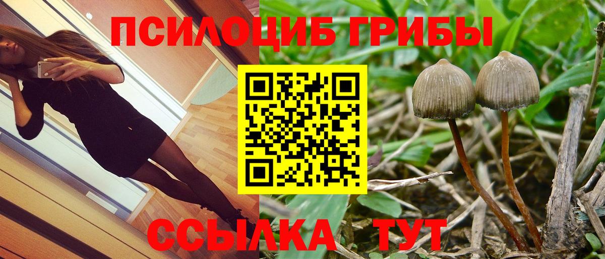 Пермь  Галлюциногенные грибы Psilocybine cubensis  где купить   Вход с VPN 